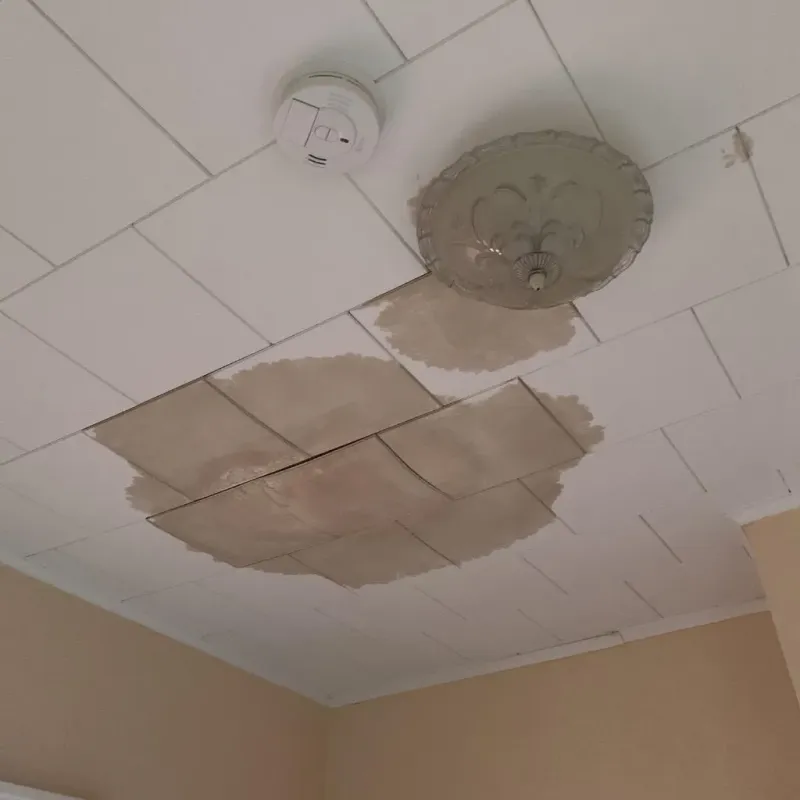 Ceiling Water Damage Repair in Bonduel, WI