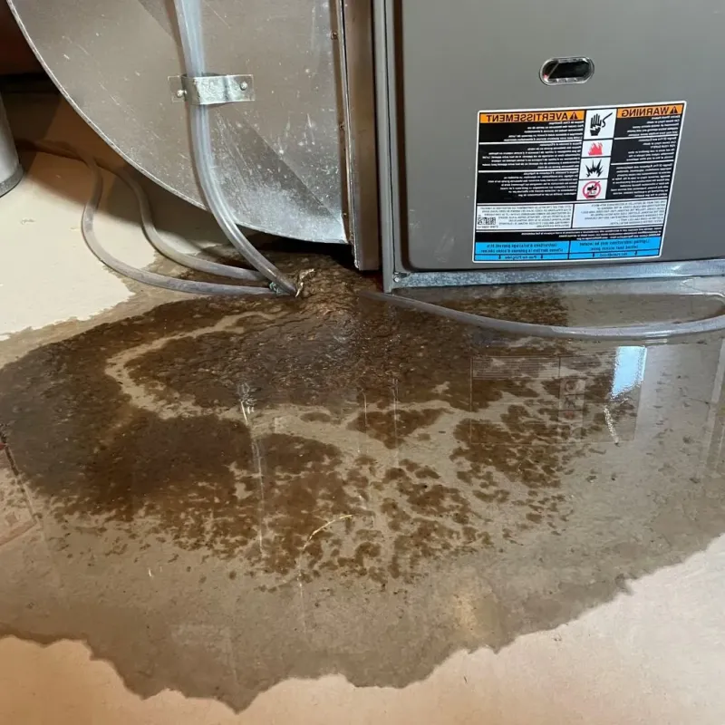 Pipe Burst and Leak Restoration in Bonduel, WI